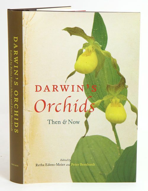 Раскрывая секреты орхидей