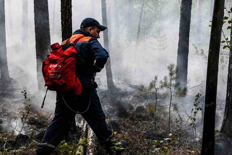 Смогут ли власти остановить пожары в лесах Свердловской области?