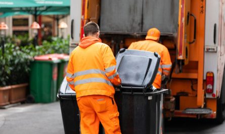 18 самых востребованных профессий в Литве в 2024 году