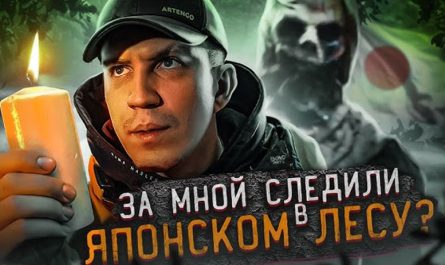 Что увидел Дима Масленников в страшном лесу самоубийц в Японии?