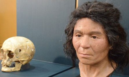 ДНК японцев