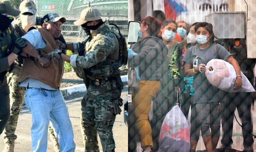 12 городов США, где больше всего мигрантов