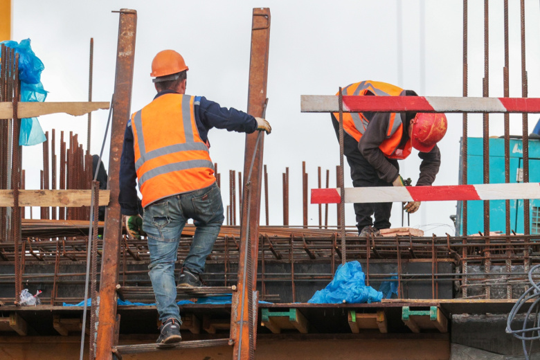 12 стран, мигранты из которых приехали в Россию в 2025 году