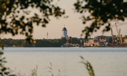 Жаркий сентябрь в Ленобласти: синоптики обещают аномалию до +4 градусов