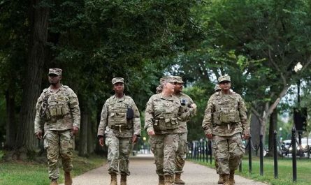 Опрос: белое население считает развертывание войск Трампом опасным