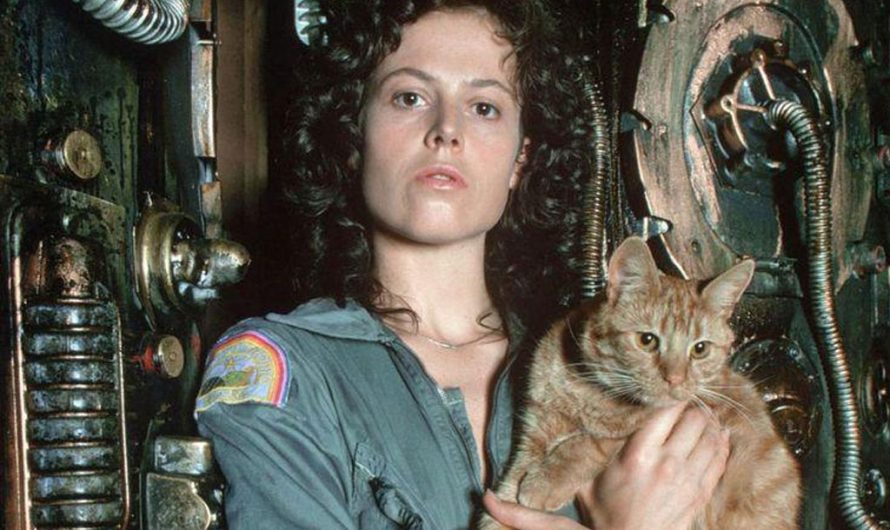 Сексуальная сила Сигурни Уивер: актриса может вновь сыграть Эллен Рипли