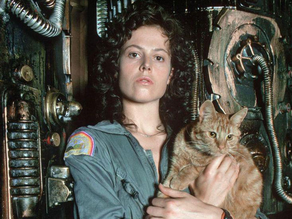 Сексуальная сила Сигурни Уивер: актриса может вновь сыграть Эллен Рипли Сексуальная сила Сигурни Уивер: актриса может вновь сыграть Эллен Рипли