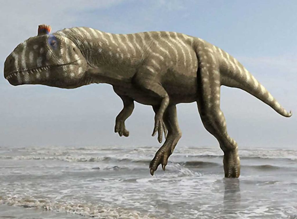 Какие динозавры жили в Антарктиде и есть ли их останки?