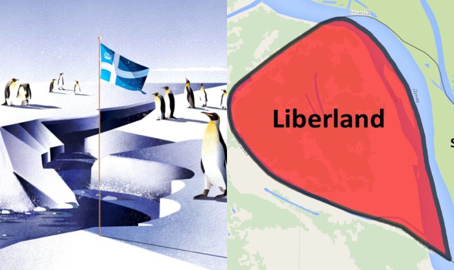 12 виртуальных государств в 2025 году