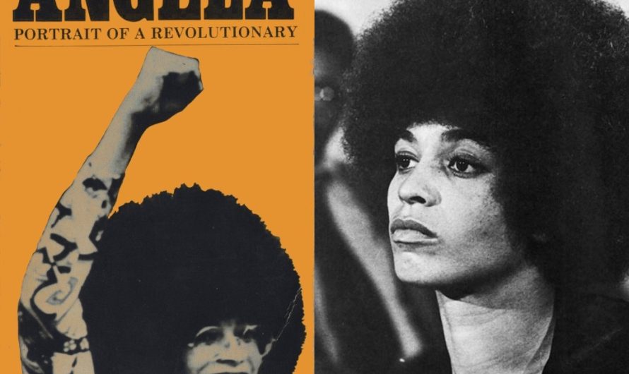 Анджела Дэвис — факты, биография и наследие
