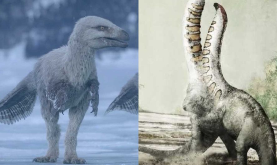 Какие динозавры жили в Антарктиде и есть ли их останки?