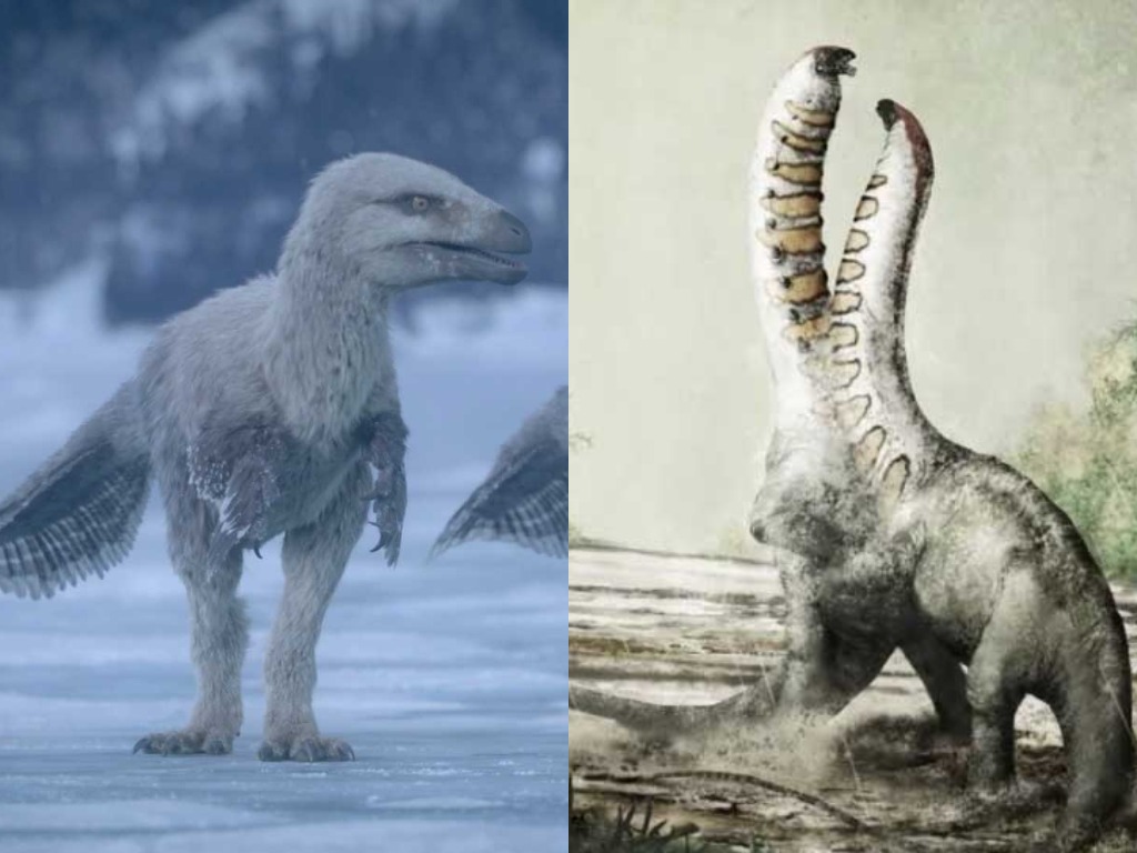 Какие динозавры жили в Антарктиде и есть ли их останки?