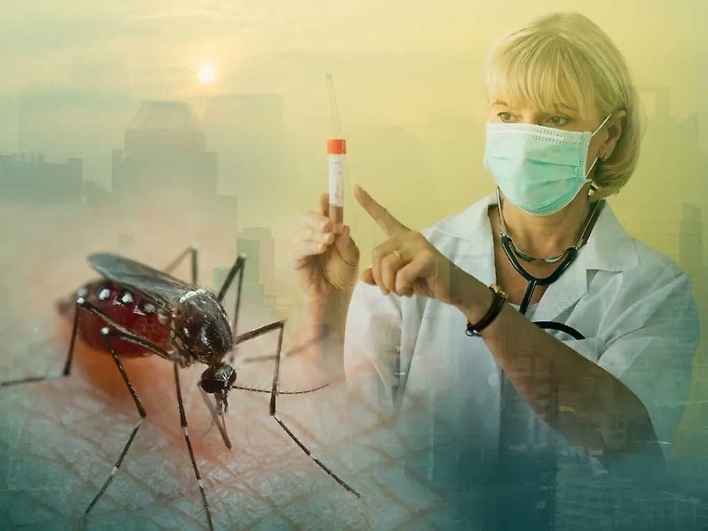 Лихорадка чикунгунья в 2026 году: полный список стран, где вирус опасен для туристов