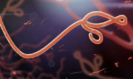 7 исторических фактов: кто создал вирус Эбола