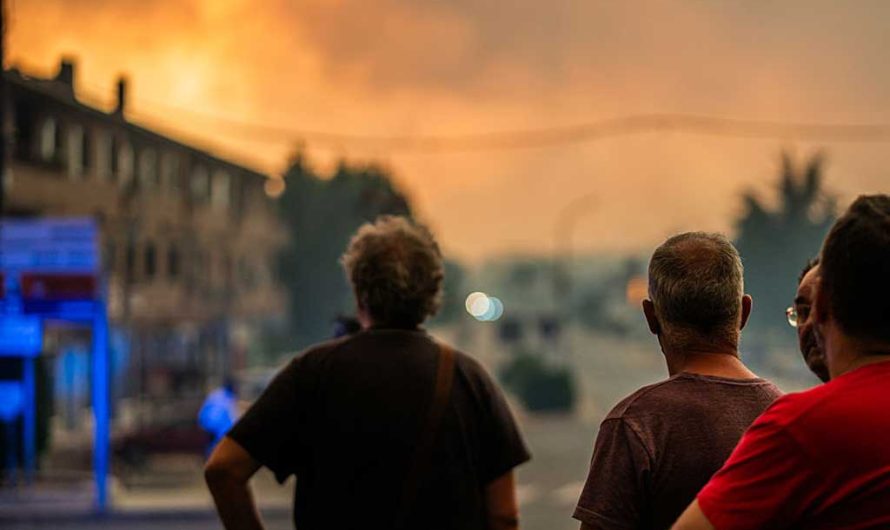 «Такого Франция еще не переживала»: лесные пожары побили исторический антирекорд, Макрон мобилизовал армию